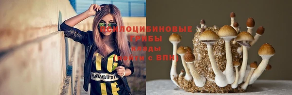 спиды Беломорск