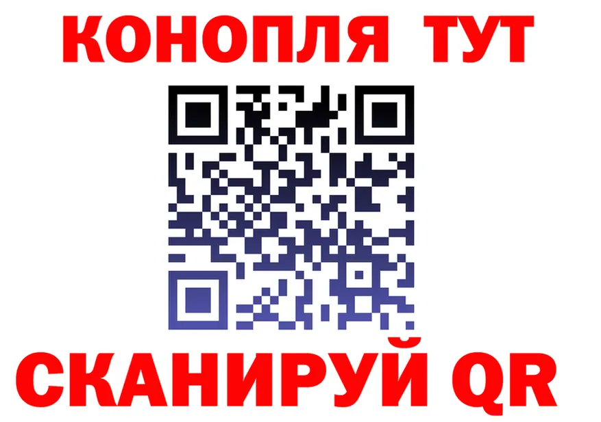 МЯУ-МЯУ мяу мяу зеркало это MEGA Печора