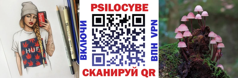 Псилоцибиновые грибы прущие грибы  как найти   Печора 